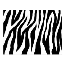 Black & White Zebra Print Postcard