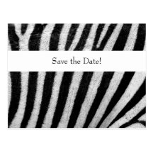 Black White Zebra Stripes Save the Date Post Cards
