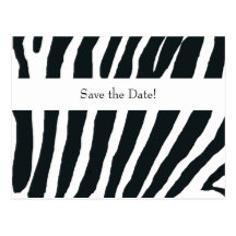 Black White Zebra Stripes Save the Date Post Cards