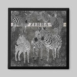 Black & White  Zebras  Magnet magnets