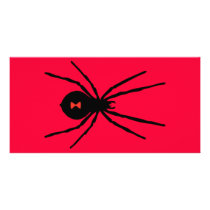 Black Widow Spider Photo Greeting Card