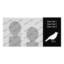 Black with a White Crow. Photo Greeting Card