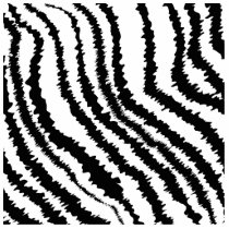 Black Zebra Print Pattern. Photo Cutouts