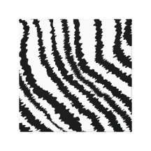 Black Zebra Print Pattern. Stretched Canvas Prints