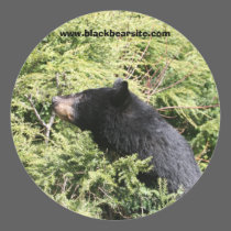 blackbear sticker stickers