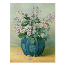Blackberry Blossoms postcards