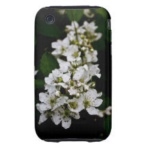 blackberry blossums tough iPhone 3 cases