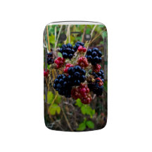 Blackberry Bold case
