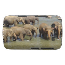 Blackberry Bold Case - Customized