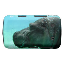Blackberry Bold Case - Customized