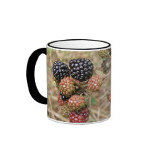 Blackberry Bonanza Mug