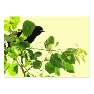 Blackbird ATC Business Card Template by Bebops