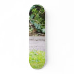 Blackbird Female Eating Berries Skate Deck