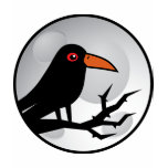 Blackbird Goth Raven/Crow t-shirts