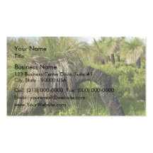 Blackboy tree growing in sideways business card template