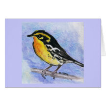 Blackburnian Warbler Card