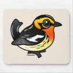 Blackburnian Warbler Mouse Pads