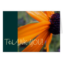 Blackeyed Susan Card