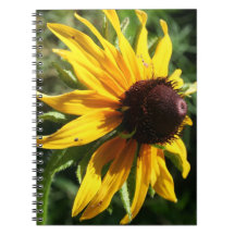 blackeyed susan spiral note books