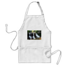 Blackwater Falls Apron