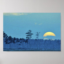 Blackwater National Wildlife Refuge Posters