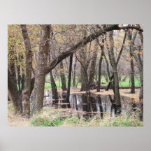 Blackwater Swampland Poster