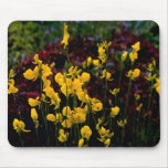 Bladderwort Mousepads