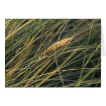 blade of grass card