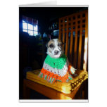 Blaheen of the roads dog Nuala in her new  poncho Greeting Cards