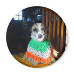 Blaheen of the roads dog Nuala in her new  poncho Fridge Magnet