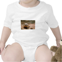 Blaireau Bodies Pour Bébé