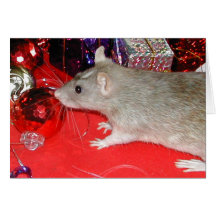 Blaize and the Baubles 2 Cards