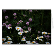 Blanc de carte de note de fleur sauvage