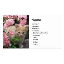 Blanc et chaton de Brown Modèles De Cartes De Visite
