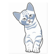 Blanc mignon de chaton cartes postales