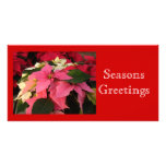 Blanc rouge-rose de poinsettias cartes avec photo