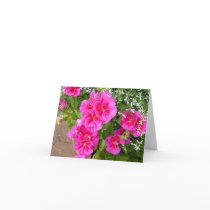 BLANK CARD