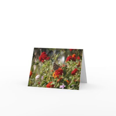 Blank Card, Butterfly by michaelsnydermusic