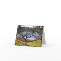 Blank Card, Landscape