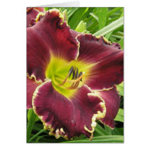 Blank Card with Sooo Purple Daylily