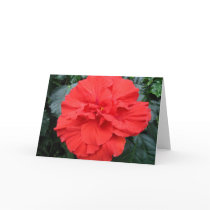 Blank Flower Card