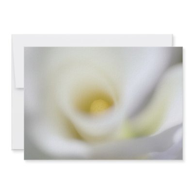 Blank Invitation ~ White Calla Lily (Christening,  by JayneLogan
