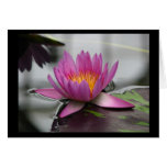 Blank Lotus Card (vertical)