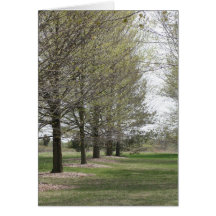 Blank Note Card