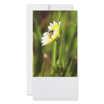Blank Photo Card, Bumble Bee