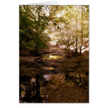 Blank Photo Note Card - River