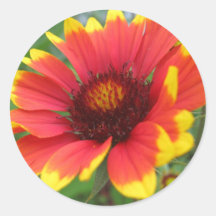 Blanket Flower Sticker