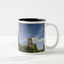 Blarney Castle, Ireland Mugs