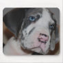 Blaue Augen Doggenwelpe Mousepads