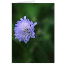 Blauwe Knoop-wenskaart